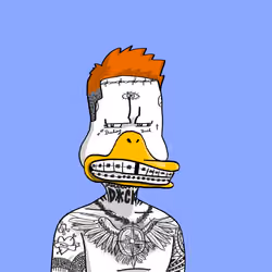 Duck #8429