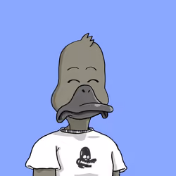 Duck #1023