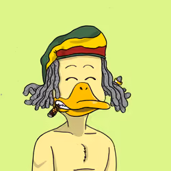Duck #8868