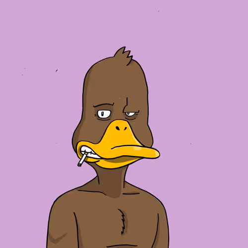 Duck #9989