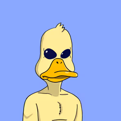 Duck #7264