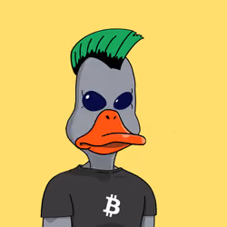 Duck #2054