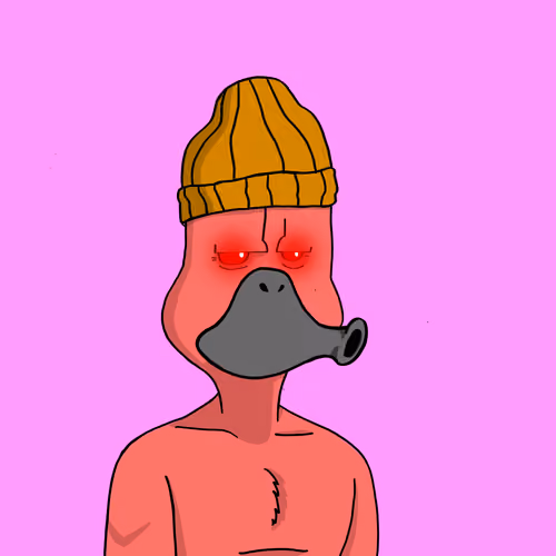 Duck #4904