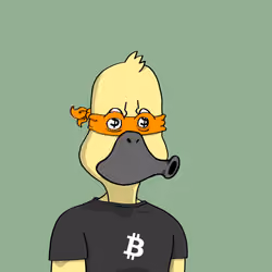 Duck #6392