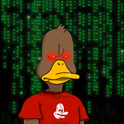 Duck #4314