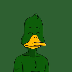 Duck #763