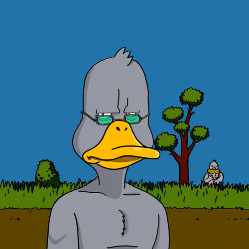 Duck #9145