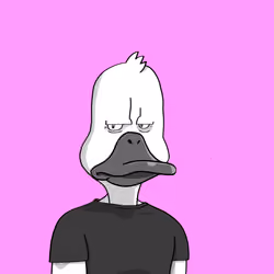 Duck #2050