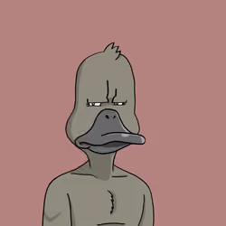 Duck #6034