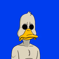 Duck #1094