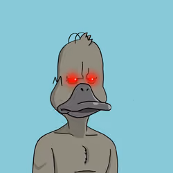 Duck #4085