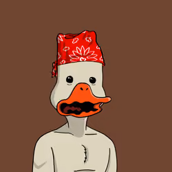 Duck #4714