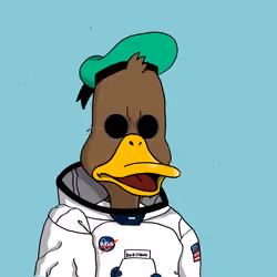Duck #227
