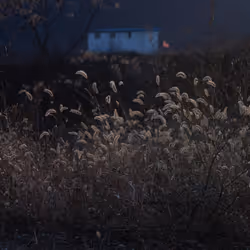80