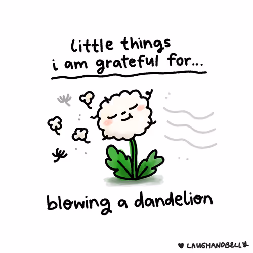 Little Things I Am Grateful For