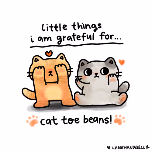 Little Things I Am Grateful For