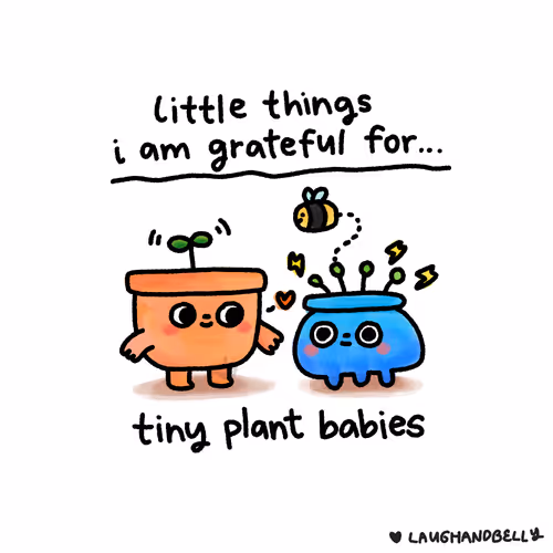 Little Things I Am Grateful For