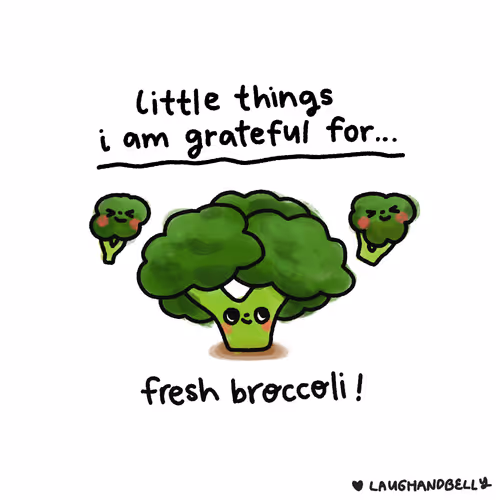 Little Things I Am Grateful For