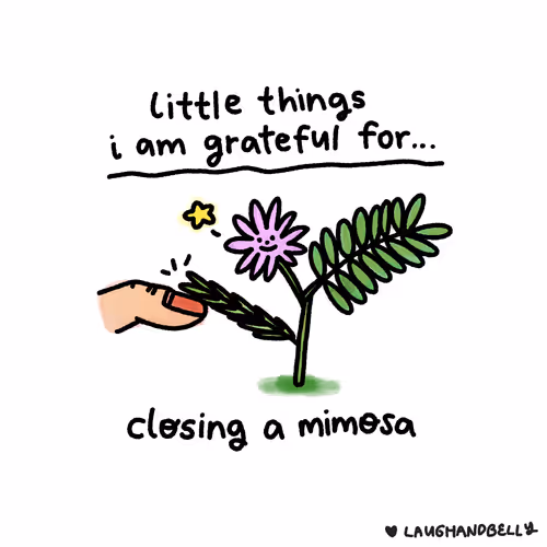Little Things I Am Grateful For