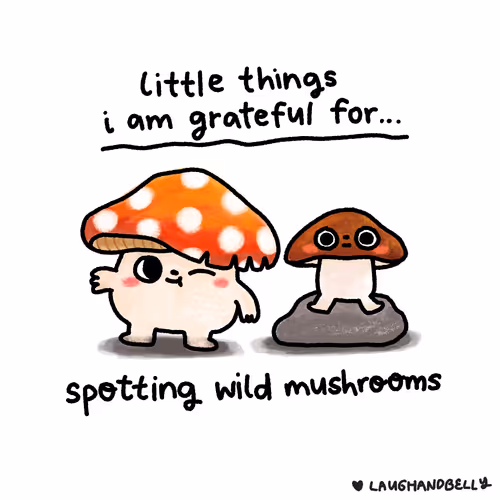 Little Things I Am Grateful For