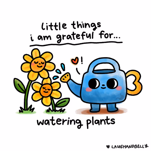 Little Things I Am Grateful For