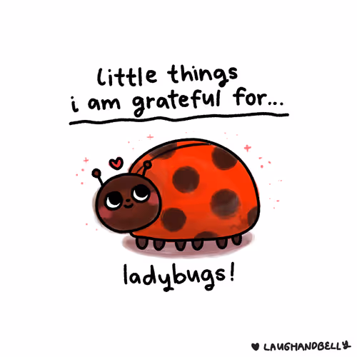 Little Things I Am Grateful For