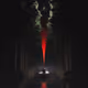 bloodstream