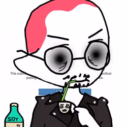 Soylads #1566