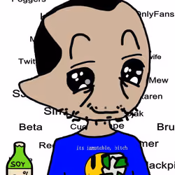Soylads #1232