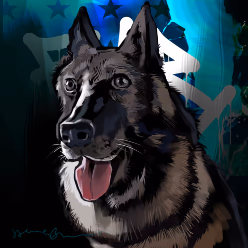 Kona