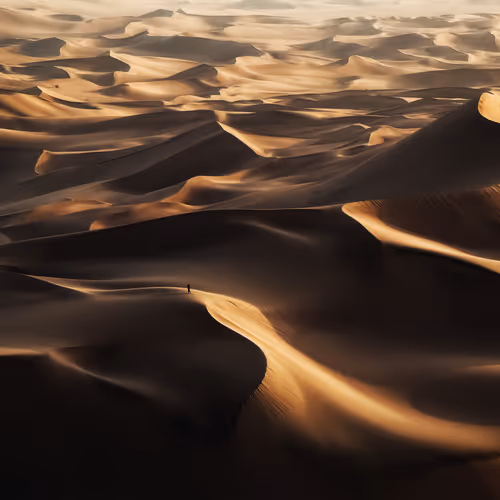 Magnificence Of Desert 1