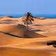 Magnificence Of Desert