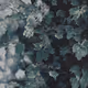 64