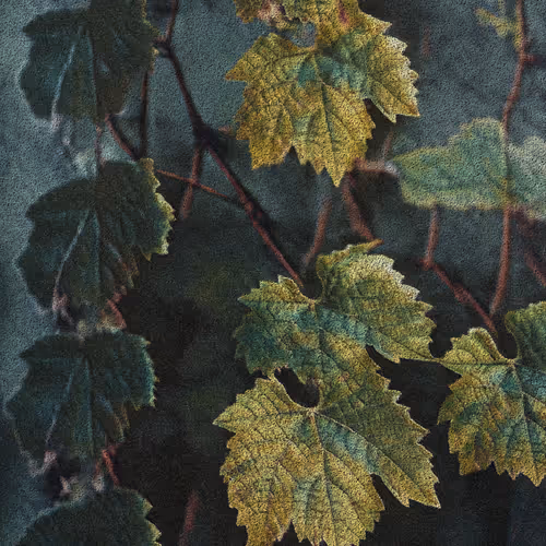 Apparatus Vitis