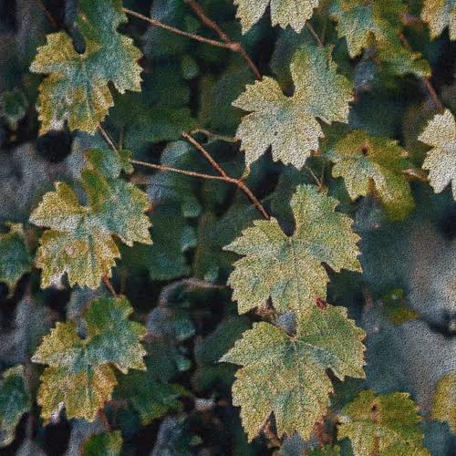 Apparatus Vitis