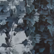 APPARATUS-VITIS