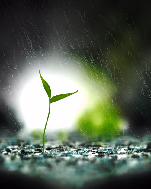 Item #3328361519 Media