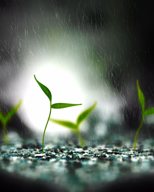 Item #1788776688 Media