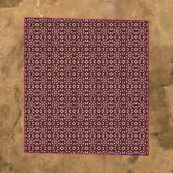 Cell #1002: Nigeria