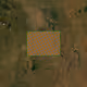 3223