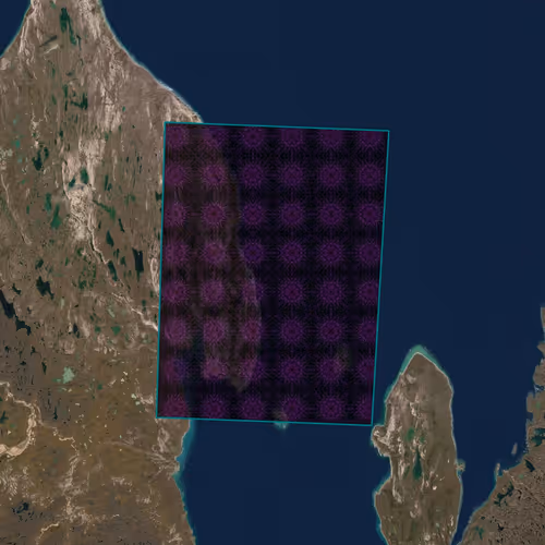 Cells Nft