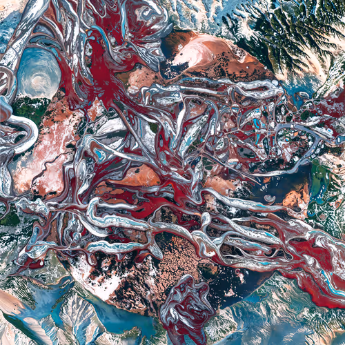 SEED THEORY by Sougwen Chung