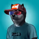 311