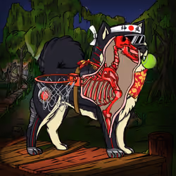 Kennel #5967