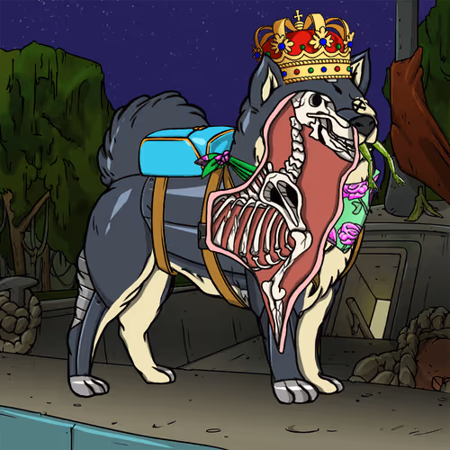 Anatomy Science Kennel Club