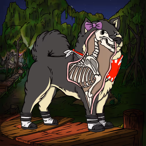 Anatomy Science Kennel Club