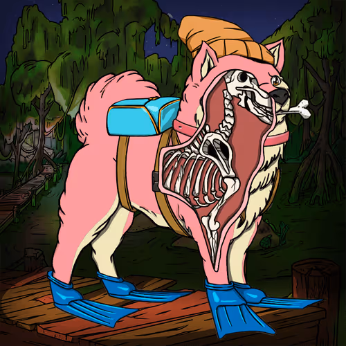 Anatomy Science Kennel Club