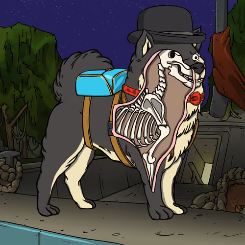 Anatomy Science Kennel Club