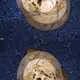 10031