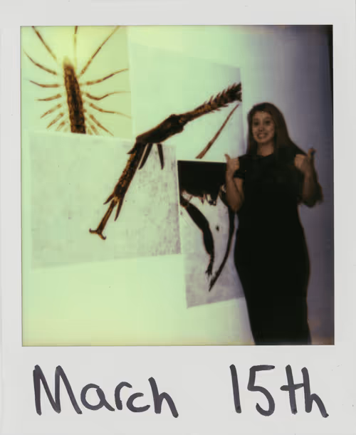 Item #1020847100762815390390123822295304634651 Media